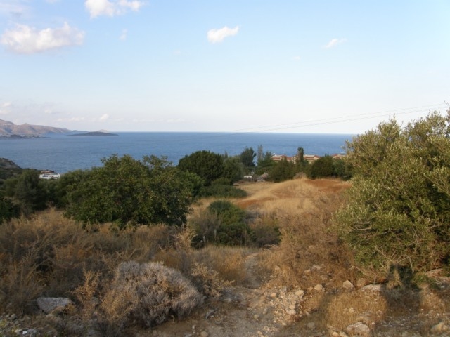 Plot 12.000m2 for sale in Ammoudara of Aghios Nikolaos 