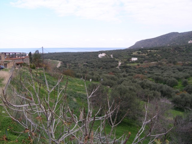 Plot for sale close to the Milatos beach 