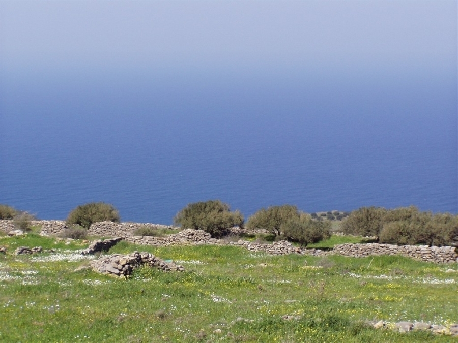 Building plot of 2.450m2 for sale in Loumas, Elounda 