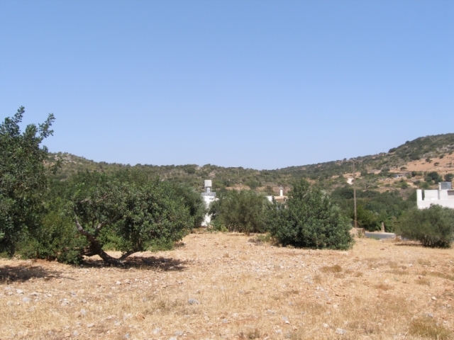 Plot for sale in the area of Flamouriana, Lakonia 