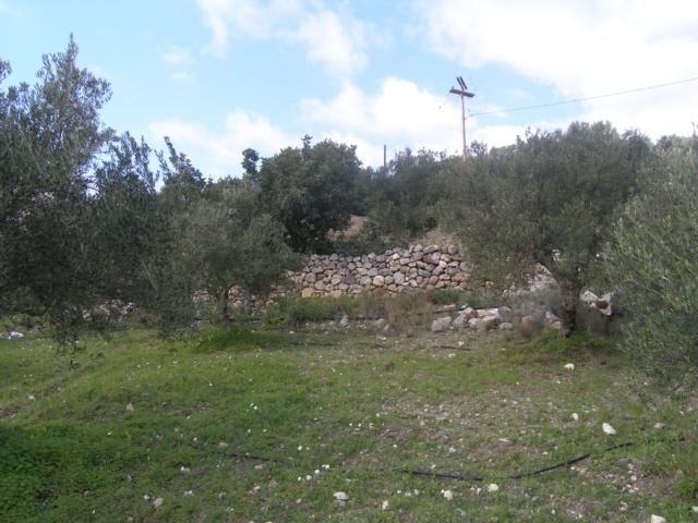 Plot for sale in the area of Mardati, Agios Nikolaos 