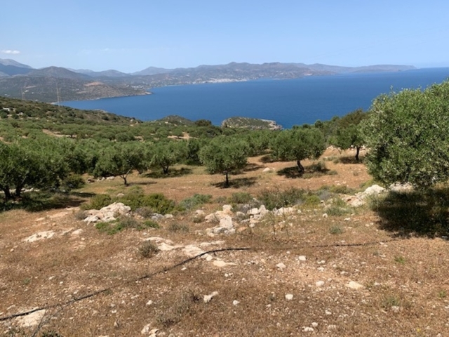 Land plot of 4.010 m2 for sale with sea views 