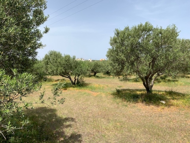 Land plot of 3.721m2 for sale in Sisi -Lasithiou 