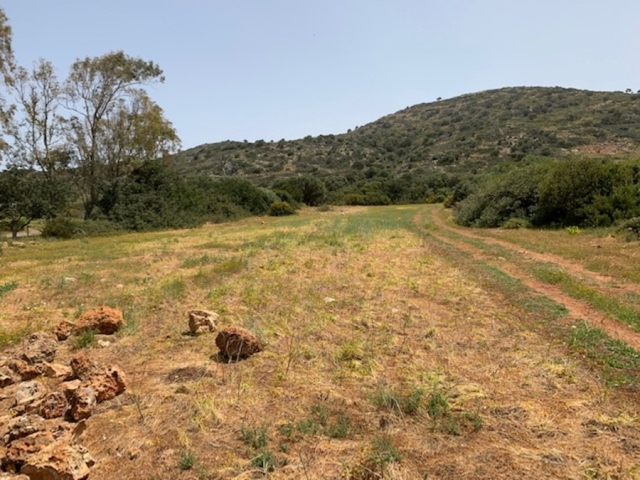 Land plot of 4.700m2 for sale in Sisi -Lasithiou 