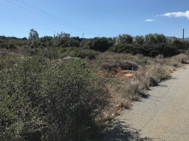 Building plot of 4.600m2 for sale in Vathi 
