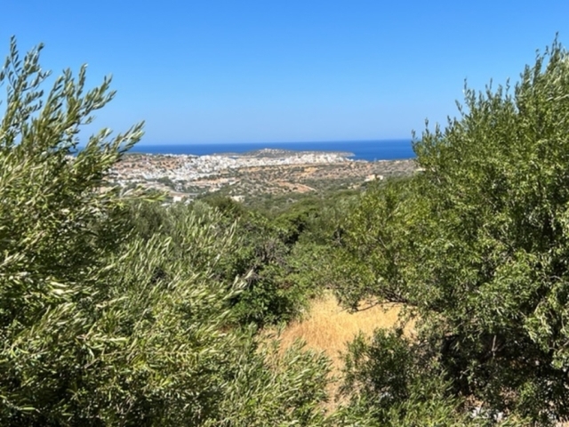 Building plot is for sale in the area of Rousa Limni, Agios Nikolaos 
