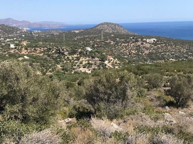 Building plot of 4.500m2 for sale in Kalo Chorio 