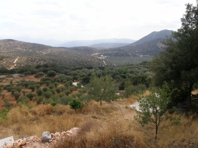Land plot of 10.000m2 for sale in the village of Lakonia, Agios Nikolaos 
