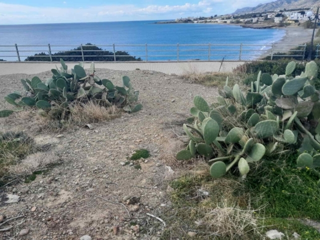 Seaside plot of 1.533m2 in Makri Yialo - Ierapetra 